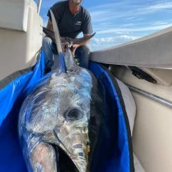 Calcutta Tuna Blanket