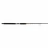Star Rods Aerial® Boat Spinning Rod Fishing Gear