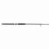Star Rods Aerial® Live Bait Spinning Rod